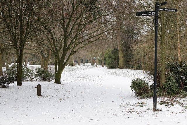 Snow is forecast for the North East in February.
