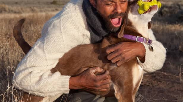 Men are keener to cosy up with their pet than women, research found (photo: Adobe)