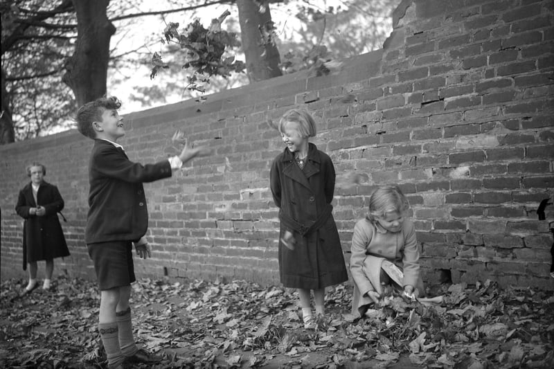 Fatfield youngsters were pictured having fun as they collected conkers on their way home from school in 1956.
