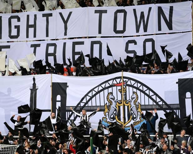 Fans at St James's Park last October.