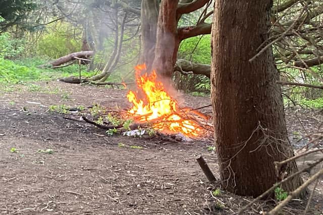 Concerned members of the public called Tyne and Wear Fire and Rescue Service to report after spotting teenagers collecting logs to add to bonfire set up in the woodland of South Marine Park in South Shields.