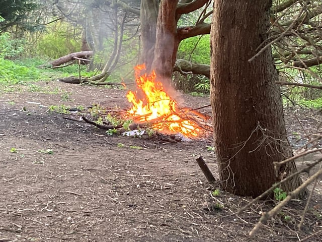 Concerned members of the public called Tyne and Wear Fire and Rescue Service to report after spotting teenagers collecting logs to add to bonfire set up in the woodland of South Marine Park in South Shields.