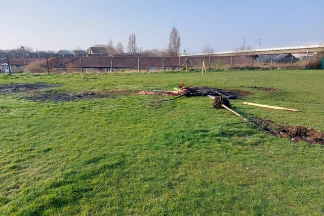 Council bosses say the trees will be replanted elsewhere after being targeted several times since being planted.