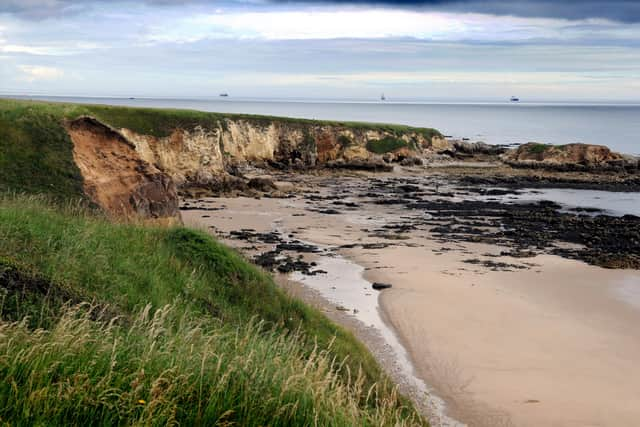 Marsden Bay, looking towards Camels Island