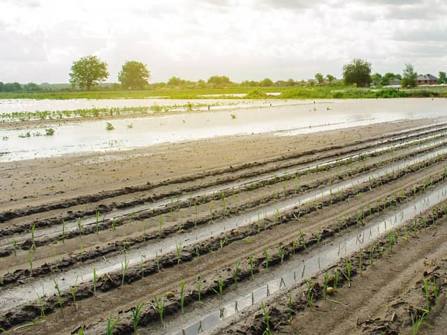 Farmers are really struggling after so much rain has fallen. Photo: Adobe