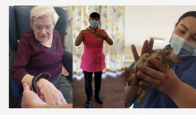 Discovery Zoo at Willowdene Care Home