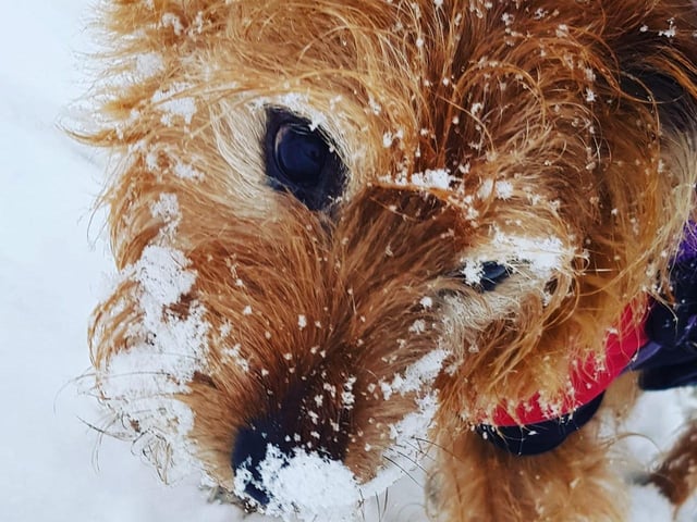 Snow filled walks. From Jo Hardiman.
