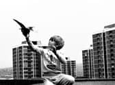 Boy With Pigeon (1989) Elswick Revisited Tish Murtha (c) Ella Murtha all rights reserve