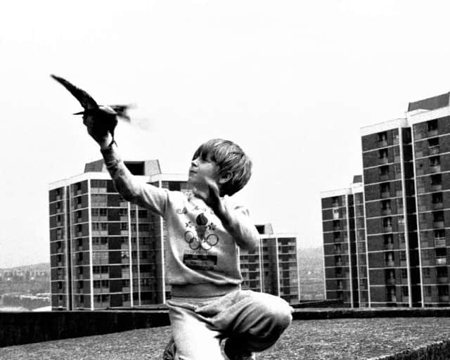 Boy With Pigeon (1989) Elswick Revisited Tish Murtha (c) Ella Murtha all rights reserve