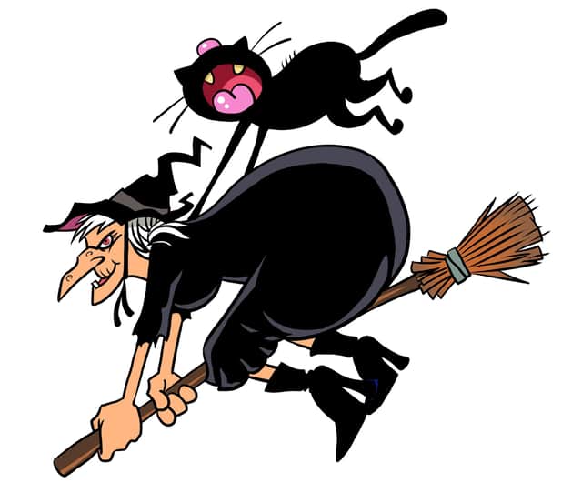 Black cats are often associated with witches (photo: Adobe)