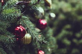 How to recycle your Christmas tree and where to take it in South Shields