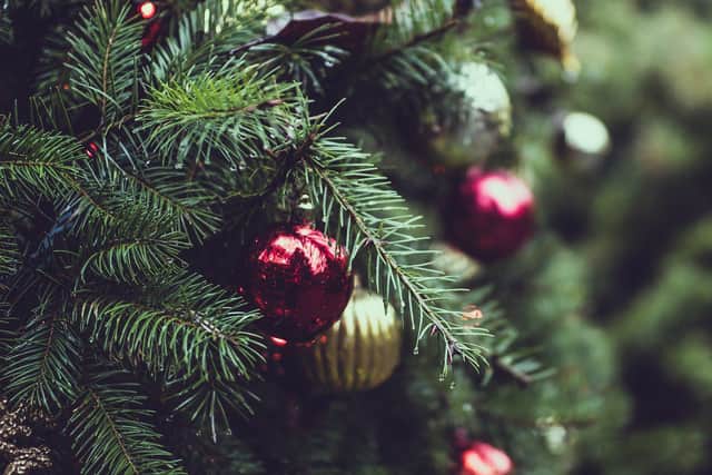How to recycle your Christmas tree and where to take it in South Shields