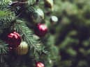 How to recycle your Christmas tree and where to take it in South Shields