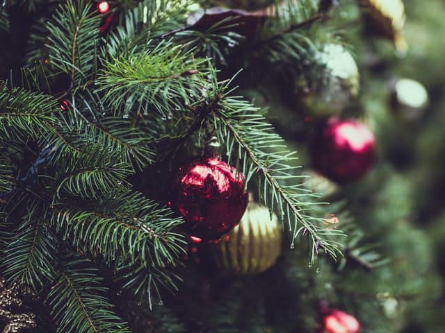 How to recycle your Christmas tree and where to take it in South Shields
