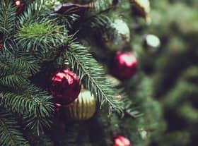 How to recycle your Christmas tree and where to take it in South Shields