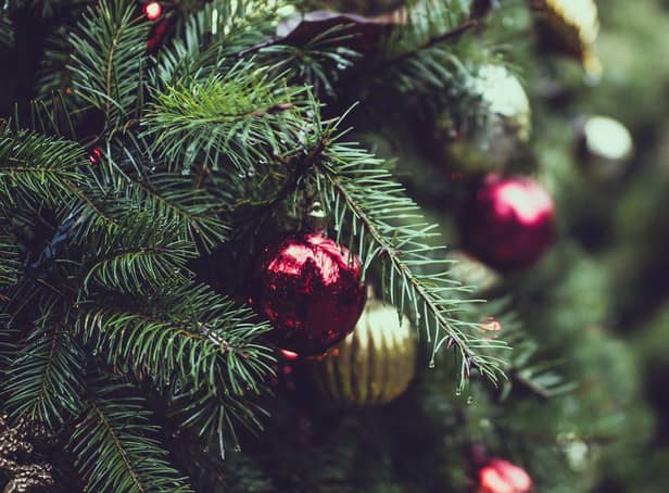 How to recycle your Christmas tree and where to take it in South Shields