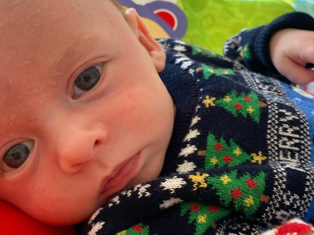Four-week-old Hudson. Picture: Amy Gaskin