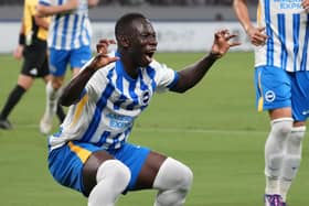 Yankuba Minteh joined Brighton from Newcastle for around £33m during the summer