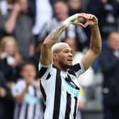 Joelinton of Newcastle United celebrates after scoring the team's second goal during the Premier League match between Newcastle United and Tottenham Hotspur at St. James Park on April 23, 2023 in Newcastle upon Tyne, England. (Photo by Clive Brunskill/Getty Images)