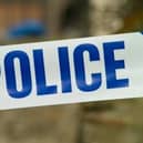 Two girls aged 12 and 15 were arrested in Leamington for allegedly assaulting and swearing at police officers.
