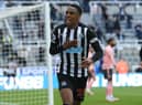 Joe Willock celebrates a goal last season.