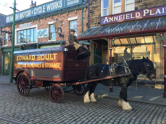 Tributes have been paid to Shire horse Lion.