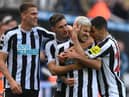 Newcastle United celebrate Bruno Guimaraes' second against Brentford. (Photo by Stu Forster/Getty Images)