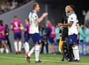 Callum Wilson replaces Harry Kane of England during the FIFA World Cup Qatar 2022 Group B match between Wales and England at Ahmad Bin Ali Stadium on November 29, 2022 in Doha, Qatar. (Photo by Michael Steele/Getty Images)