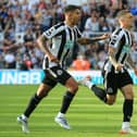 This is where the supercomputer predicts Newcastle United will finish in the Premier League (Photo by LINDSEY PARNABY/AFP via Getty Images)