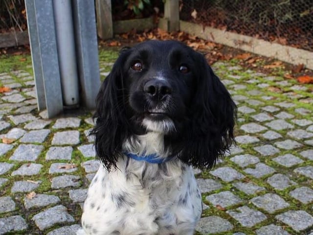 PD Charlie always knows how to brighten the team’s mood