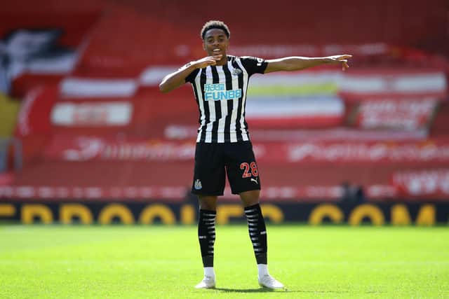 Joe Willock of Newcastle United celebrates after scoring their side's first goal during the Premier League match between Liverpool and Newcastle United.