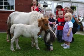 Shetland foal Babe and her mum Mary were the visitors to the Horseshoe Day Nursery 22 years ago. Were you in the photo with them?