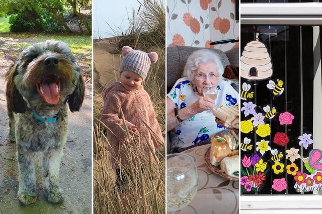 A selection of the best and favourite photos our readers have taken since the beginning of the first Covid lockdown.