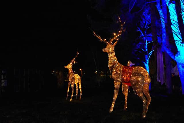 Reindeer illuminations at The Alnwick Garden.