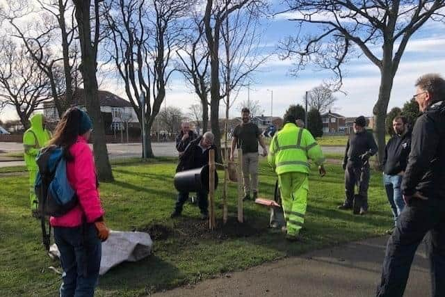 Tree planting at Redhead Park