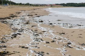 Pellets, also known as nurdles, have been washing up on beaches in the North East including Littlehaven Beach.