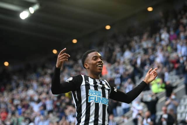 Joe Willock playing for Newcastle United.