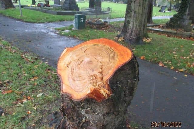 Damage to trees in Hebburn Cemetery.