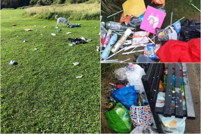 Residents have raised concerns about the amount of litter being left on The Leas.