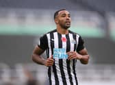 NEWCASTLE UPON TYNE, ENGLAND - NOVEMBER 01: Callum Wilson of Newcastle United looks on during the Premier League match between Newcastle United and Everton at St. James Park on November 01, 2020 in Newcastle upon Tyne, England. Sporting stadiums around the UK remain under strict restrictions due to the Coronavirus Pandemic as Government social distancing laws prohibit fans inside venues resulting in games being played behind closed doors. (Photo by Alex Pantling/Getty Images)