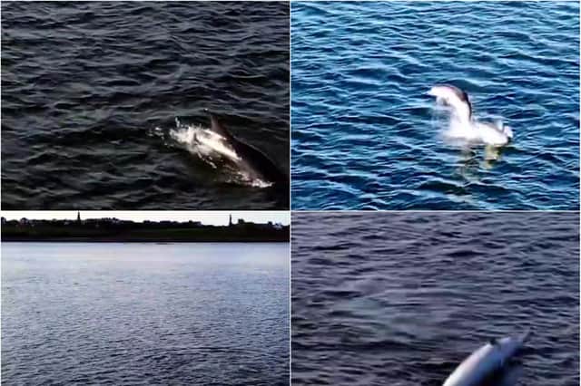 Images from drone footage recorded by Joojhaar Singh in South Shields.