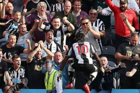 Newcastle United were forced to settle with a point at home to Southampton. (Photo by Ian MacNicol/Getty Images)