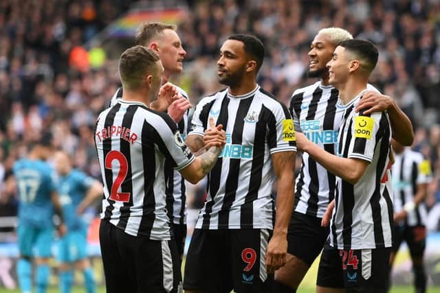 Callum Wilson of Newcastle United celebrates with teammates after scoring the team's sixth goal during the Premier League match between Newcastle United and Tottenham Hotspur at St. James Park on April 23, 2023 in Newcastle upon Tyne, England. (Photo by Stu Forster/Getty Images)