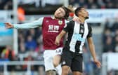 NEWCASTLE UPON TYNE, ENGLAND - FEBRUARY 29: Jamaal Lascelles of Newcastle United vies with Jeff Hendrick of Burnley during the Premier League match between Newcastle United and Burnley FC at St. James Park on February 29, 2020 in Newcastle upon Tyne, United Kingdom. (Photo by Ian MacNicol/Getty Images)