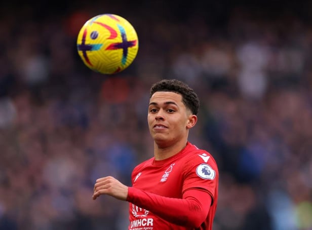 Steve Cooper has provided a major update on Brennan Johnson's fitness ahead of Newcastle United clash (Photo by Marc Atkins/Getty Images)