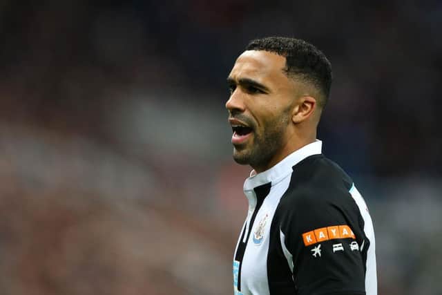 Joe Cole believes Callum Wilson will be Newcastle United's main hope for survival this season (Photo by Alex Livesey/Getty Images)