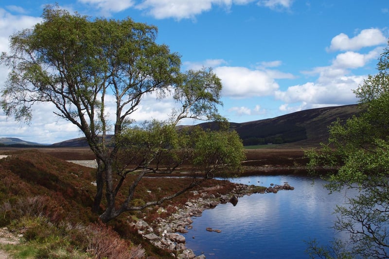 In a remote location 18 miles east of Braemar, Loch Muick offers a long, but mainly flat, circular walk of around eight miles, with stunning scenery all the way.