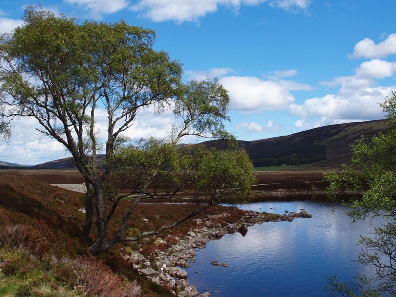 In a remote location 18 miles east of Braemar, Loch Muick offers a long, but mainly flat, circular walk of around eight miles, with stunning scenery all the way.