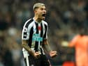 Newcastle United's Bruno Guimaraes celebrates the win over Chelsea this month.