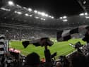 Newcastle United have a fantastic record at St James's Park this season (Photo by Stu Forster/Getty Images)